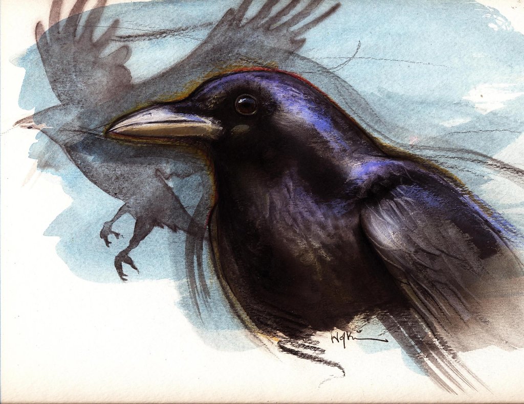 Hofkin-crow.jpg